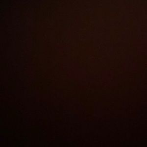 Meet your Posher, Sheila